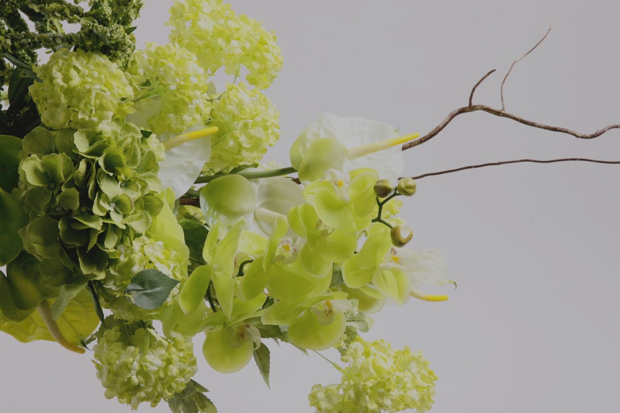 Header Banner