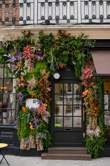 Belgravia in bloom