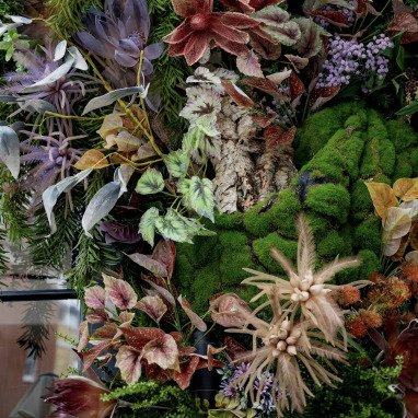 Belgravia in bloom 2026