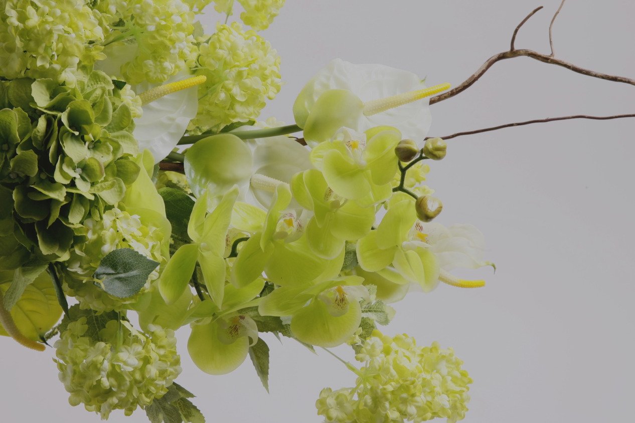 Header Banner
