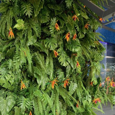 Tropical Green Wall