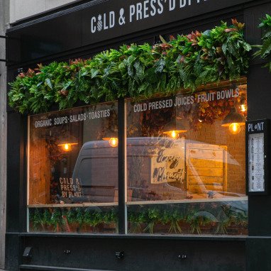 Greenery For Outdoor