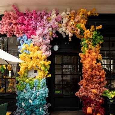 Chelsea flowers show