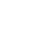 Logo White