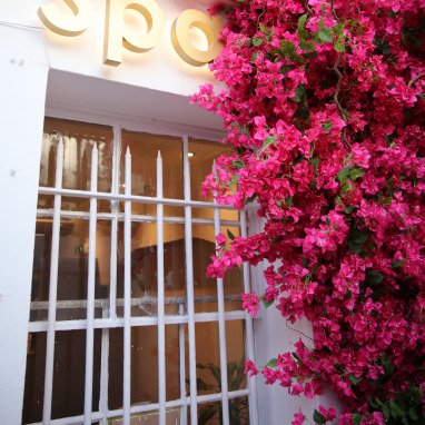 bougainvillea flowers