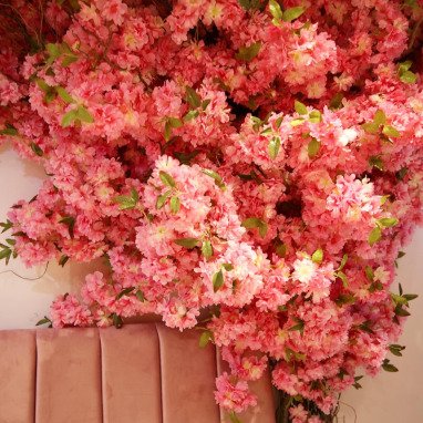 9d8c0513 5541 4cab 8773 0802d0026507