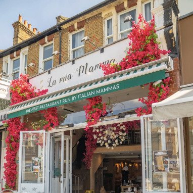 bougainvillea garlands decor